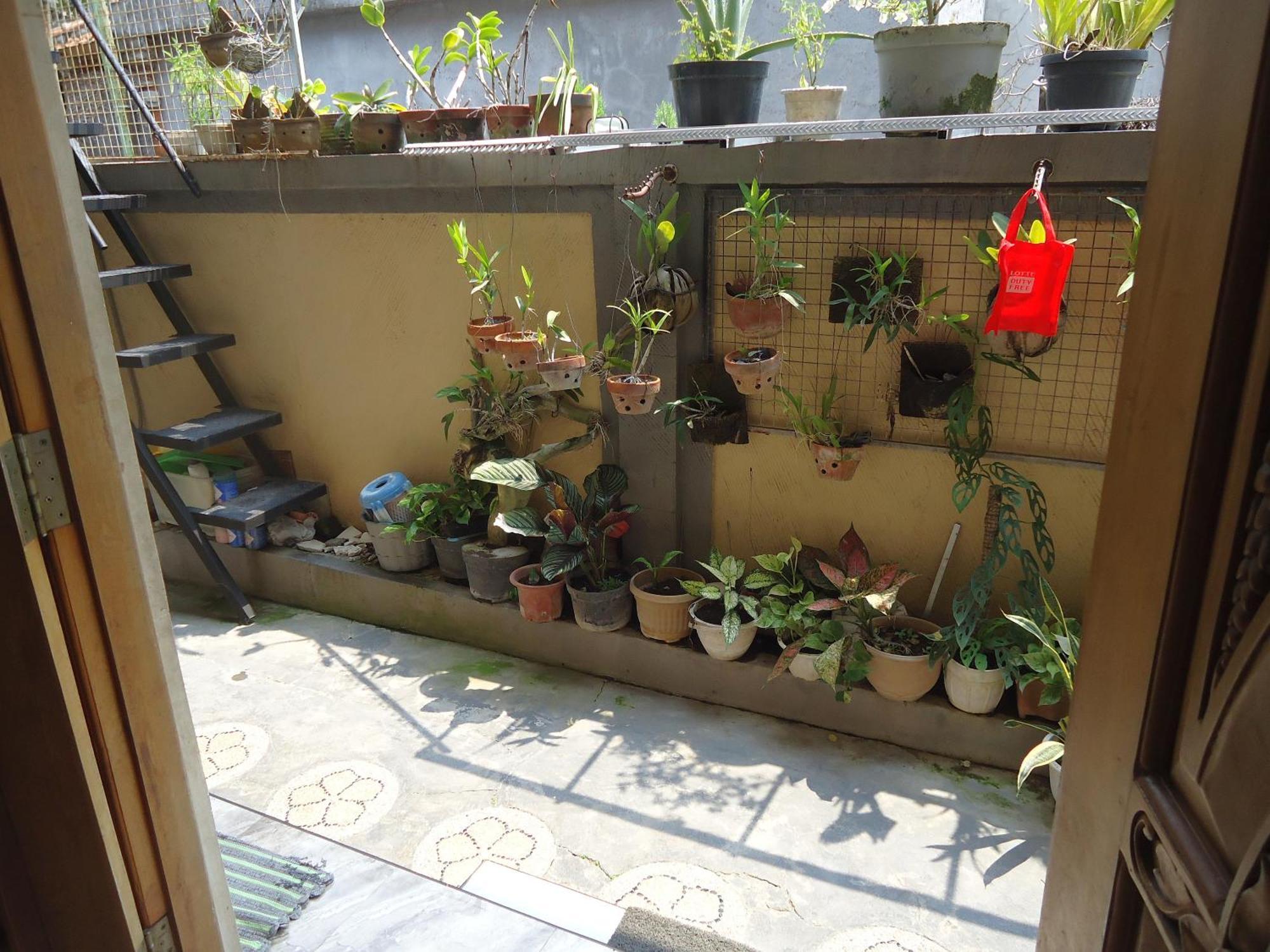 The Reinhold Guesthouse Bali Kerobokan Eksteriør billede